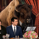 Illustration for article titled Nation’s Bison Hold Lavish Fundraiser In Effort To Get 2020 Candidates To Support Environment